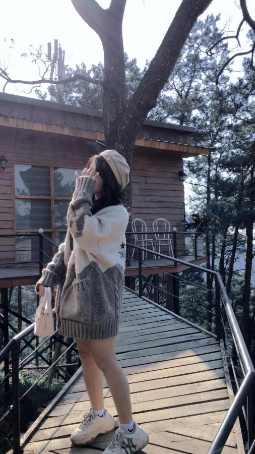 Chillout Village - Homestay Tam Dao Ханой Экстерьер фото
